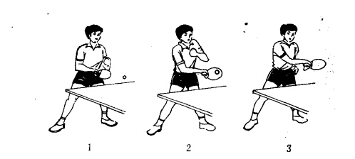 推拨技术第十五集教学视频_(乒乓球自学网)
